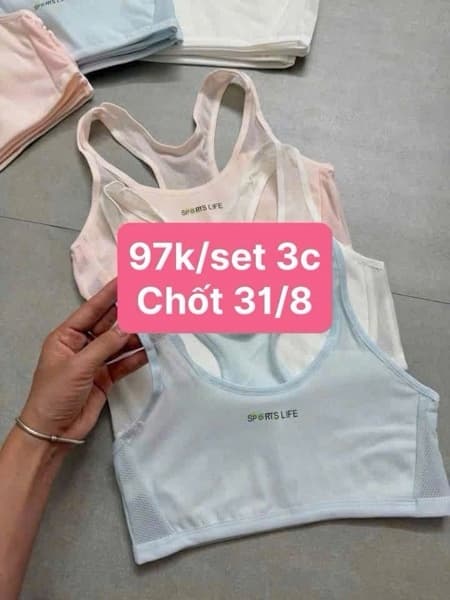 31/08 Set 3c áo lót thông hơi cho bé gái #N31815 - Set mix - L
