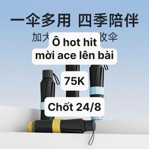 24/08 Ô che mưa size đại #L24801 - Hồng