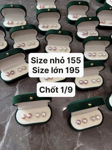 01/09 Box hoa tai ngọc trai #L1902 - Nhỏ