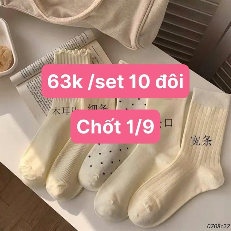 01/09 Set 10đ tất cổ cao tone trắng kem nữ #N01937