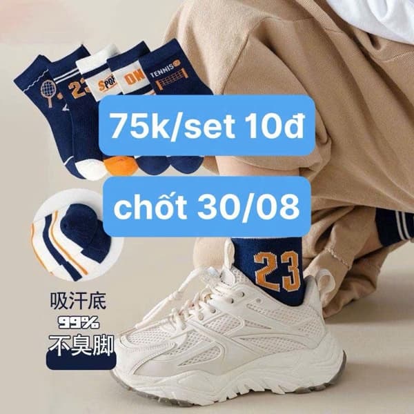 30/08 Set 10đ tất cotton (23) tone xanh than cho bé trai #N30806 - M