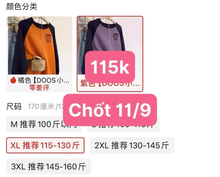 11/09 Áo nỉ cổ tròn phối màu #N11930 - Cam - M